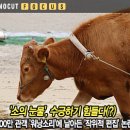 동료 노숙인 살해용의자 부친도 살해 이미지