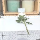 보훈병원상조회 이미지