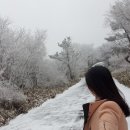 광철농장 이미지