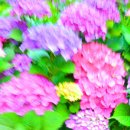 동평초등학교 이미지