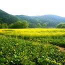 석장리박물관 이미지