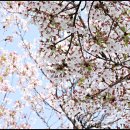 창원대로-1 이미지