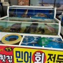백길천사횟집 | 신안 자은도맛집)신안라마다 근처 맛집"백길천사횟집"내돈내산 솔직후기!
