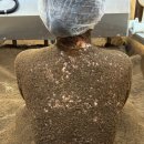 CU진주초전핫플점 | 진주 효소찜질 초전동 금화효소원 진주점 방문후기