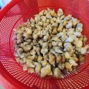 모여라포차 이미지