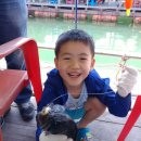 상명초교 이미지