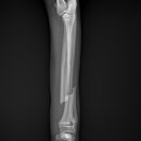 24시핸즈동물의료센터 이미지