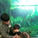 EBS하늘어린이집 이미지