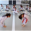 프리미엄 태권마루 태권도장 이미지