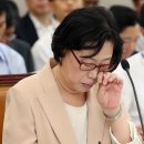 배정현 축산 연합뉴스
