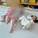 꿀벌약국 이미지