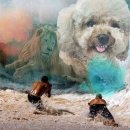 블루밍 펫 살롱 이미지