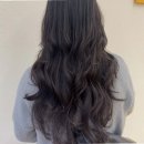 데일리수 네이버블로그