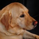 신천중앙약국 이미지