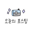 레인보우조개 이미지