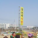 동계8리 Daum카페