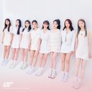 라잇썸 카카오 검색결과