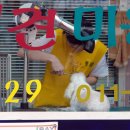 애견미장원 이미지