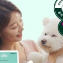 포피펫 - 안성시 중앙로 423 | 포피펫