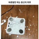 투고샐러드 이미지