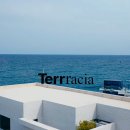 테라키아 이미지