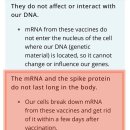Aseem Malhotra 박사: "왜 mRNA 백신이 철회되지 않습니까?" 이미지