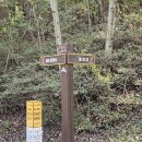 아라메길 관광안내소 이미지