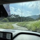 도룡길 5번길 11 | [내돈내산 후기] 청도 퍼즈글램핑 5번 텐트 솔직하게 느낀 장점과 단점