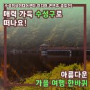 알파삼송동산점 | [수성영상미디어센터 미디어 콘텐츠 공모전] 매력 가득 수성구로 떠나요, 아름다운 가을 여행 한 바퀴!