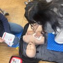 심폐소생술 및 응급처치 | [안전보건응급처치교육센터]교직원 심폐소생술·응급처치 연수 후기 실전 중심 교육