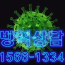 세아청과