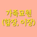 늘푸른장