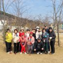인천평화의료복지사회적협동조합평화의원 | 인천평화의료복지사회적협동조합 소모임 파크골프~대부도 라운딩을 다녀오다