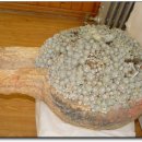 창녕초등학교 이미지