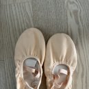 (신규)보태니컬 아트 초급 | 몸치의 취미 발레 한 달 차 후기, 돈 내고 셀프 고문 받는 시간