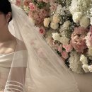 w.본식 아이폰 스냅 <메모리아스냅> 계약 후기