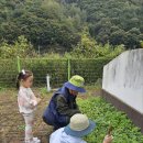 봉오초등학교병설유치원 이미지