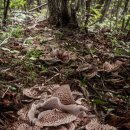 수비면 체육공원 이미지