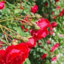 매표소 주차장 화장실 이미지