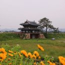 홍교수산 이미지
