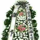 수원-0728 이미지