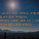 김한식농장 이미지