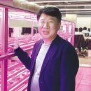 조영태 농장 네이버블로그