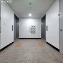 더스타리움 이미지