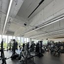 노비스 PT 이미지