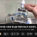 (주)선온 | 볼파이톤 키우기