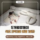 장밖휴게소 | 5개월 쌍둥이와 2박3일 속초 여행/홍천휴게소수유실,솥밭막국수,체스터톤스 후기