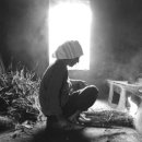 어부의노래 이미지