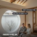 관광여행사주