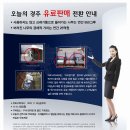 오늘의 경주 Daum카페